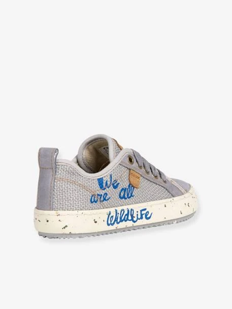 Baskets Alonisso WWF GEOX® Gris - Geox 6 Baskets Alonisso WWF GEOX® Gris - Geox – Image 4