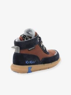Baskets Sneakers Garçon Juniby KICKERS® Marine Marron - Kickers -Pampero Boutique baskets sneakers garcon juniby kickers 3